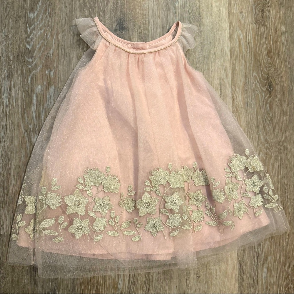 18 Month Formal/Flower Girl Dress Catherine Malandrino